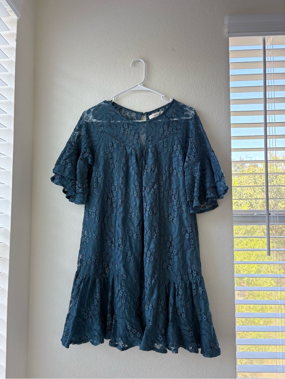 FRANCESCA’S Blue Lace Ruffle-Sleeve Mini Dress